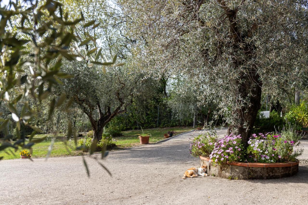 La Tana Delle Stelle B&B Di Charme E Relax Fara in Sabina Extérieur photo