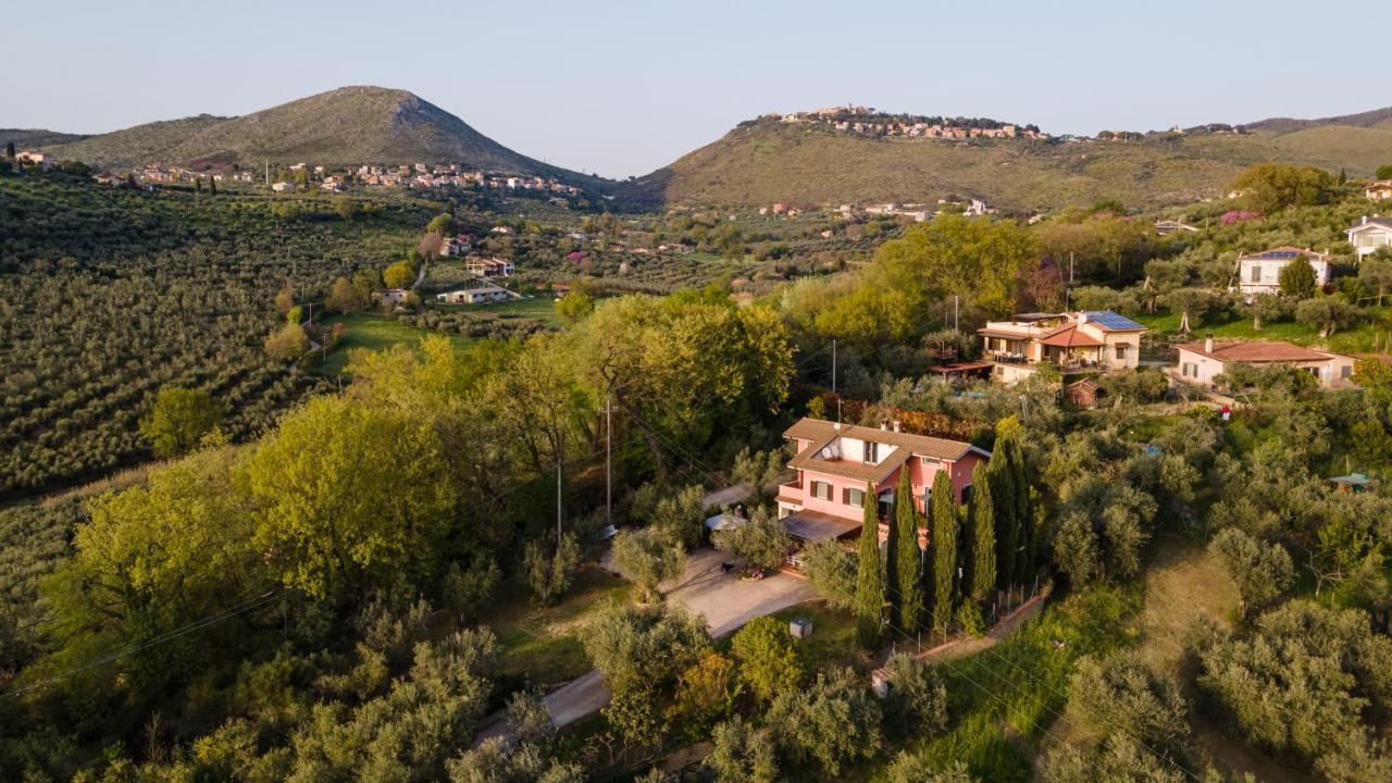 La Tana Delle Stelle B&B Di Charme E Relax Fara in Sabina Extérieur photo