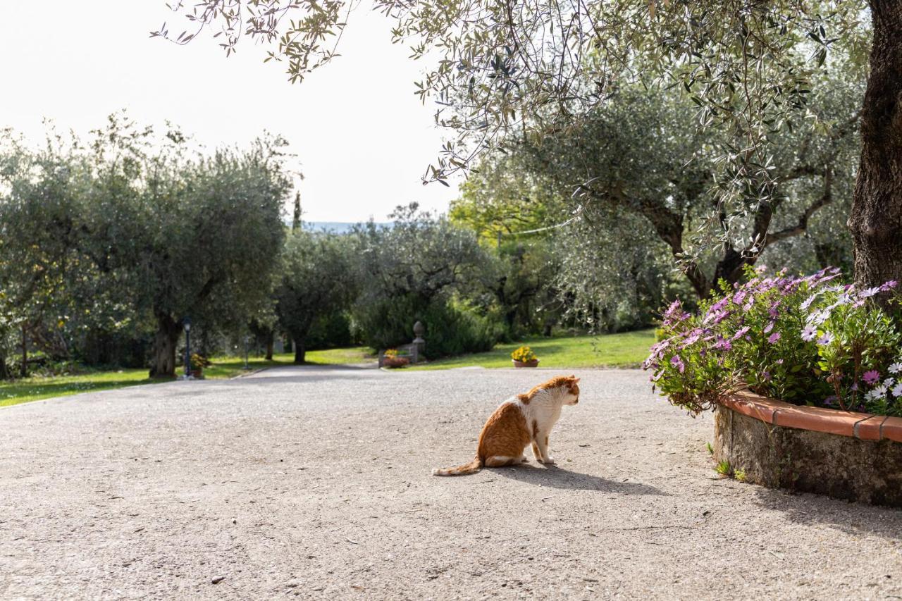 La Tana Delle Stelle B&B Di Charme E Relax Fara in Sabina Extérieur photo